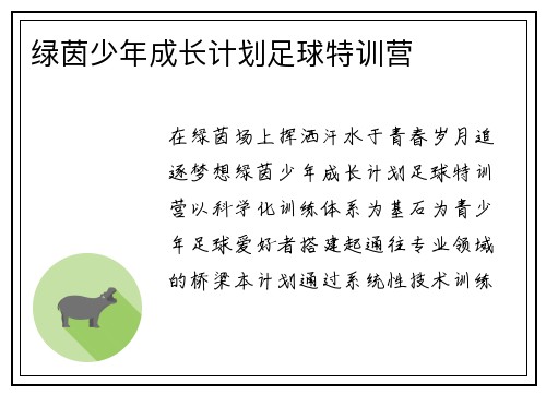 绿茵少年成长计划足球特训营